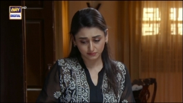 Habs Episode 27 - 8th Nov 2022